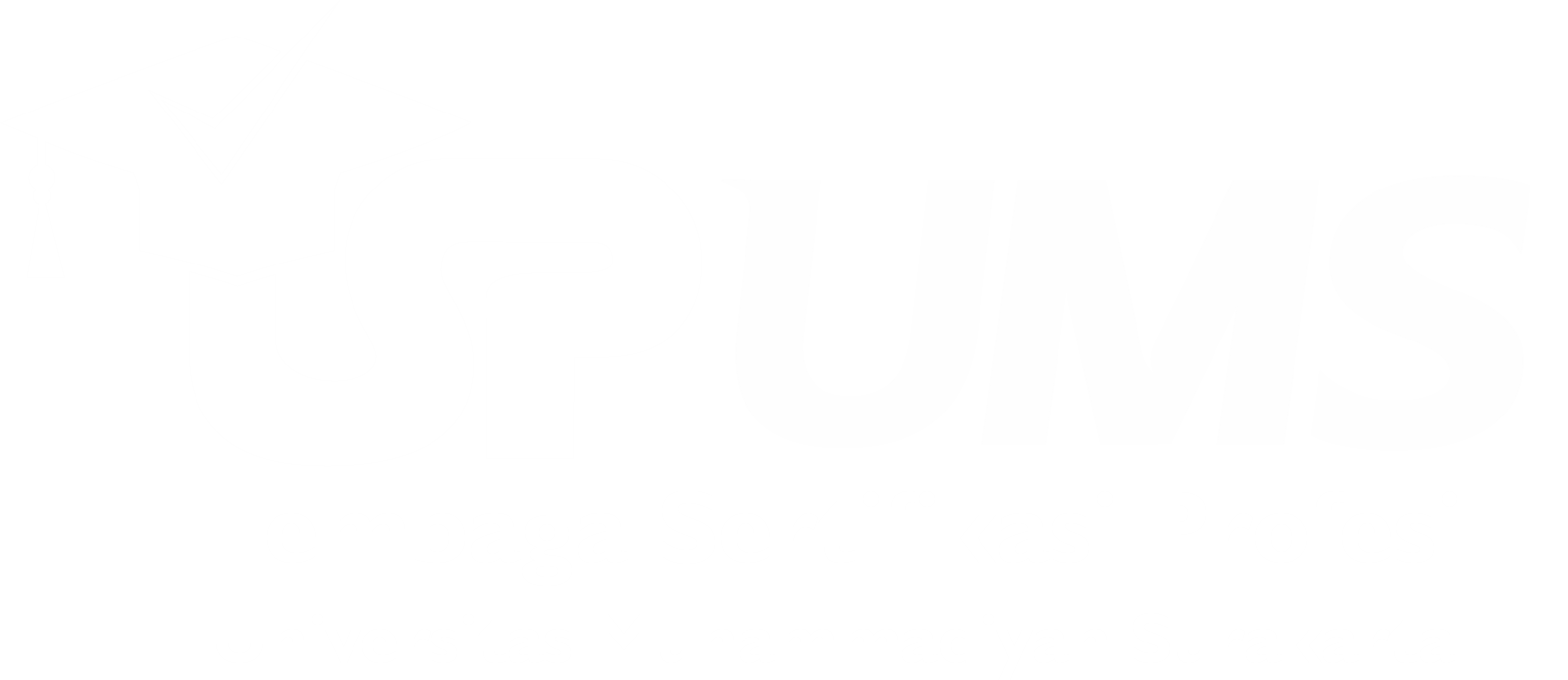 Logo LSP UMS